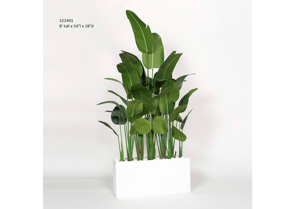 322401 8' Traveler Palm Screen in White Rectangle Planter