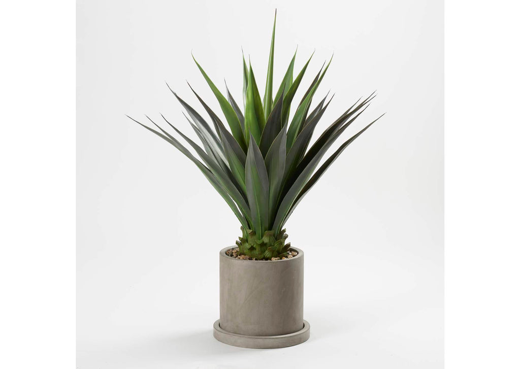 322700 4' Agave Plant in Grey Marta Pot