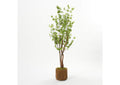 322705 66" Star Foliage Branch in Round Wooden Stain Wash Planter