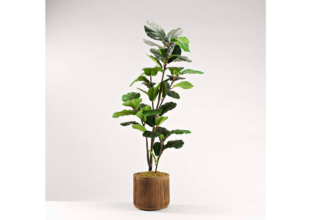 322914 54" Fiddle Leaf Fig Tree in Round Wooden Stain Wash Planter W - Grooves