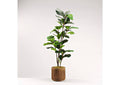 322914 54" Fiddle Leaf Fig Tree in Round Wooden Stain Wash Planter W - Grooves