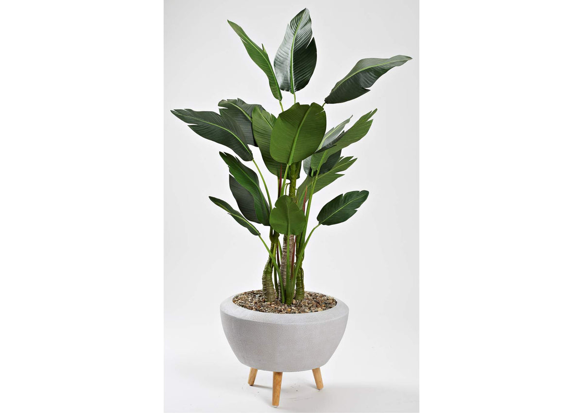 323001 70" Bird of Paradise Tree in White Bowl With Legs