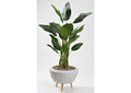 323001 70" Bird of Paradise Tree in White Bowl With Legs