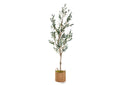 323410 6.5' Olive Tree in Rope Basket