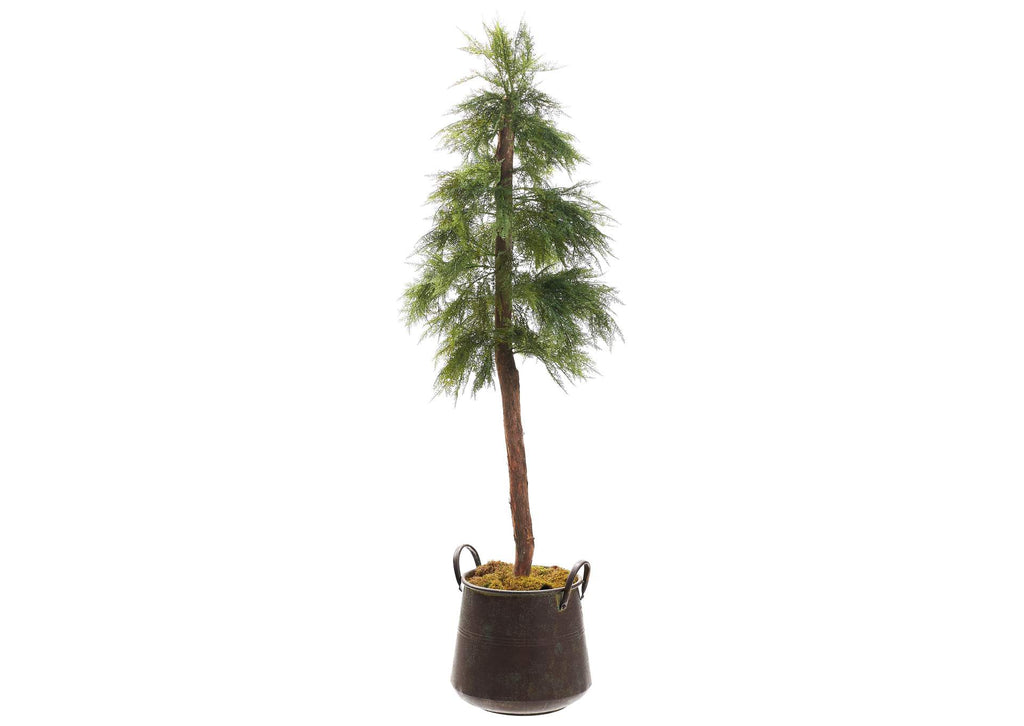 323603 6.5' Artemisia Tree in Copper Planter