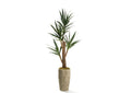 323614 Yucca Tree in Diamond Etched Taupe Container