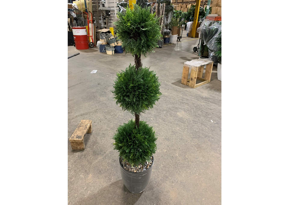 323806 5' Cedar Ball Topiary in Grey Container