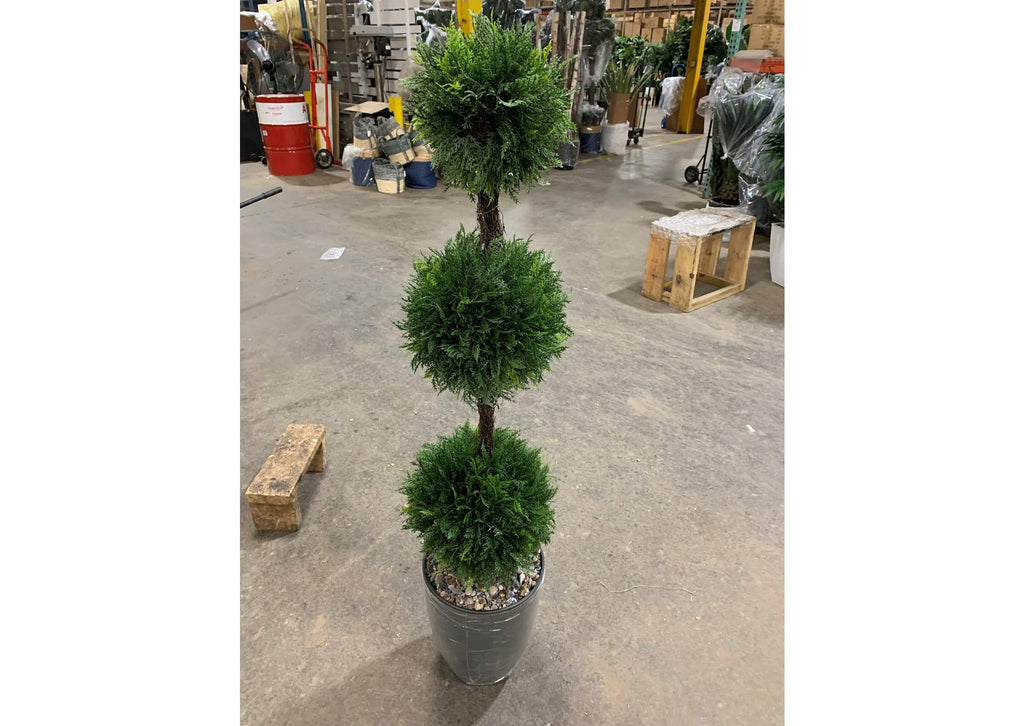 323806 5' Cedar Ball Topiary in Grey Container