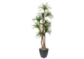 323834 8' Dracaena Tree in Black Metal Planter