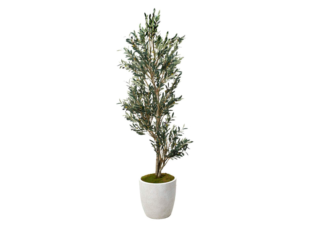 323904 7.5' Olive Tree in White Etched Planter