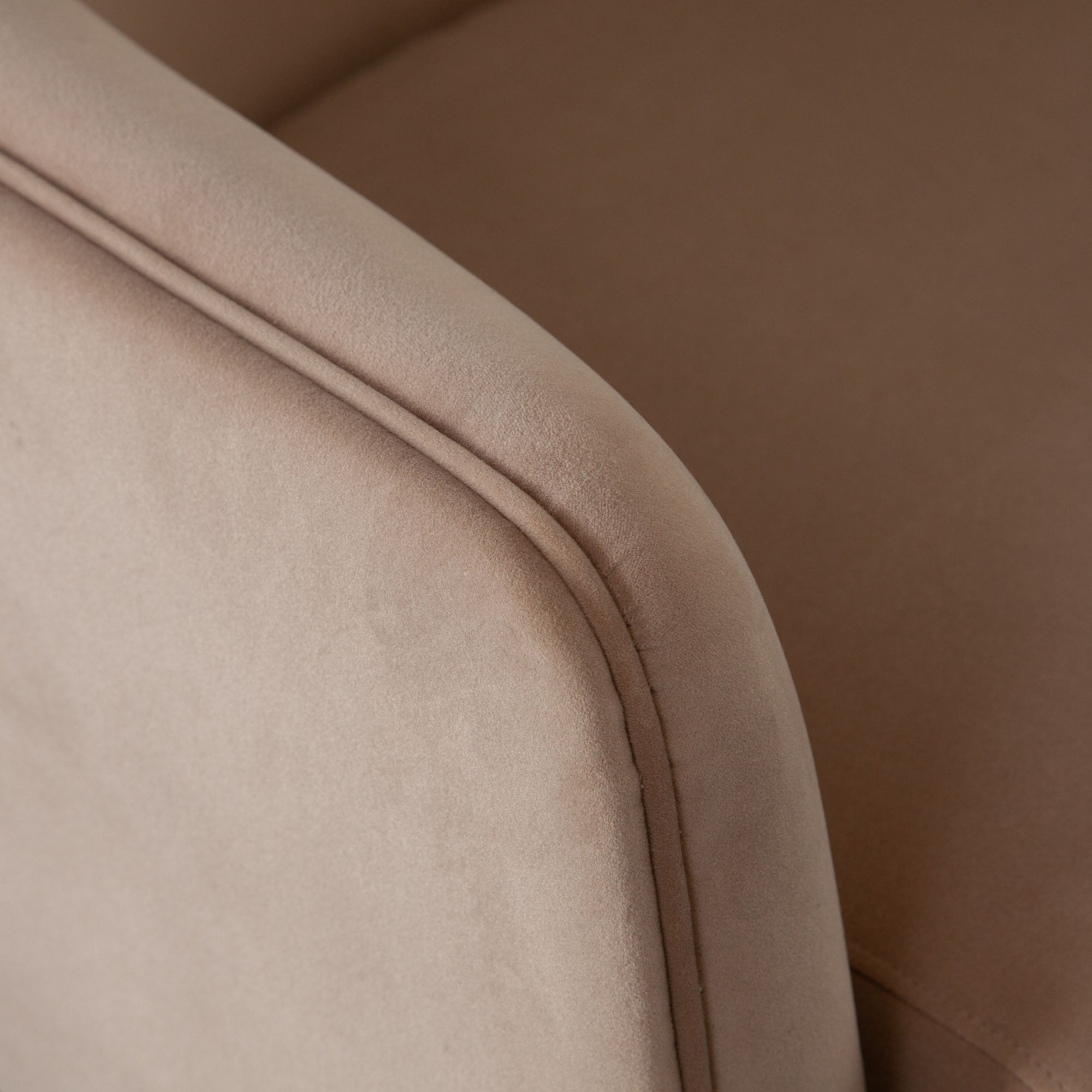 Leyah Accent Chair in Camel Performance Velvet by Diamond Sofa - styled in a staged room by Center Stage Home Design