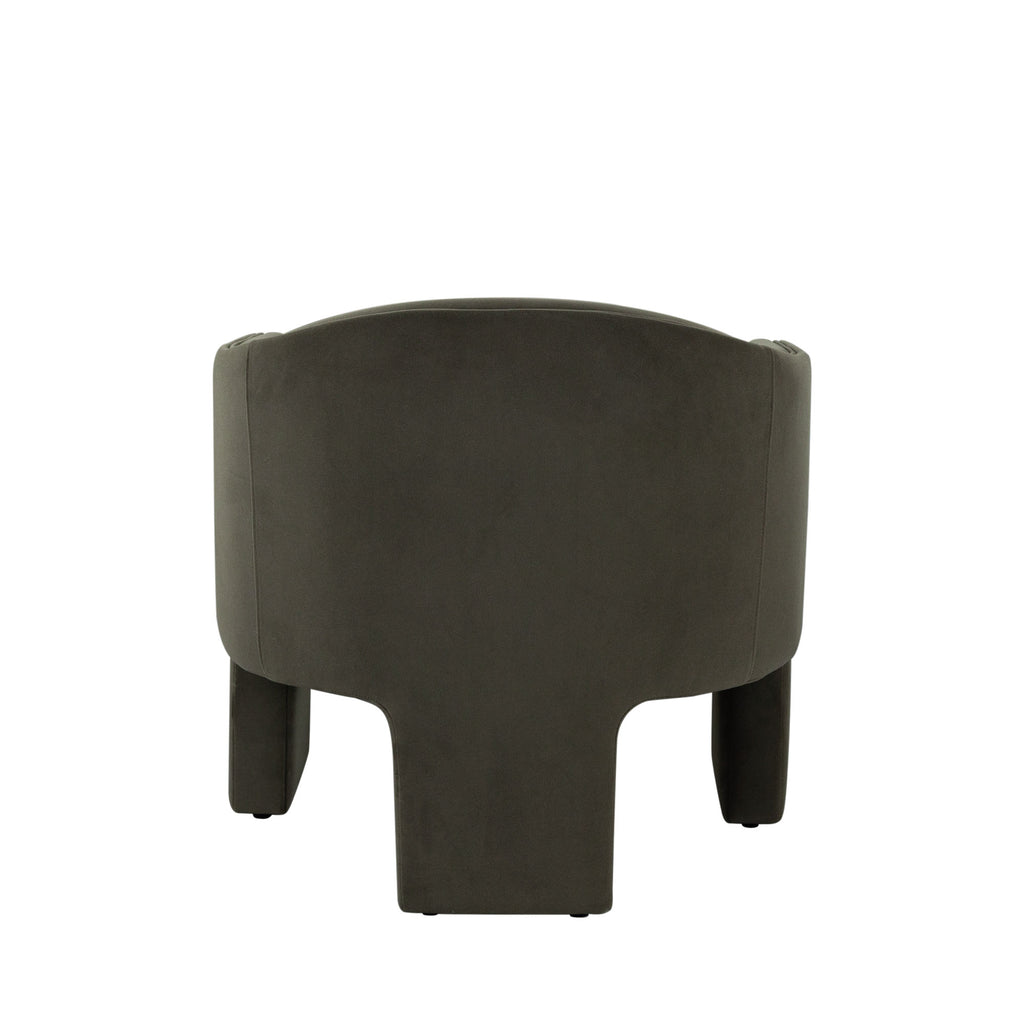Leyah Accent Chair in Winter Moss Performance Velvet by Diamond Sofa