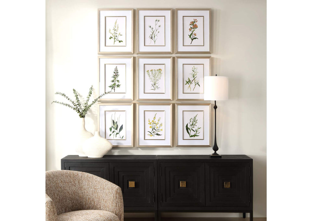 32339 Uttermost Botanical Flowers Framed Prints