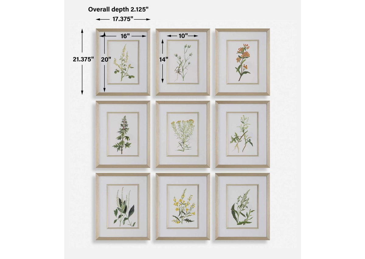32339 Uttermost Botanical Flowers Framed Prints