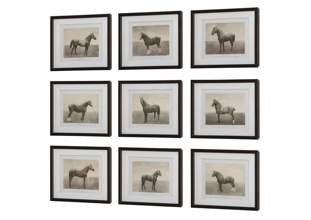 32343 Uttermost Equine Dynasty Framed Prints