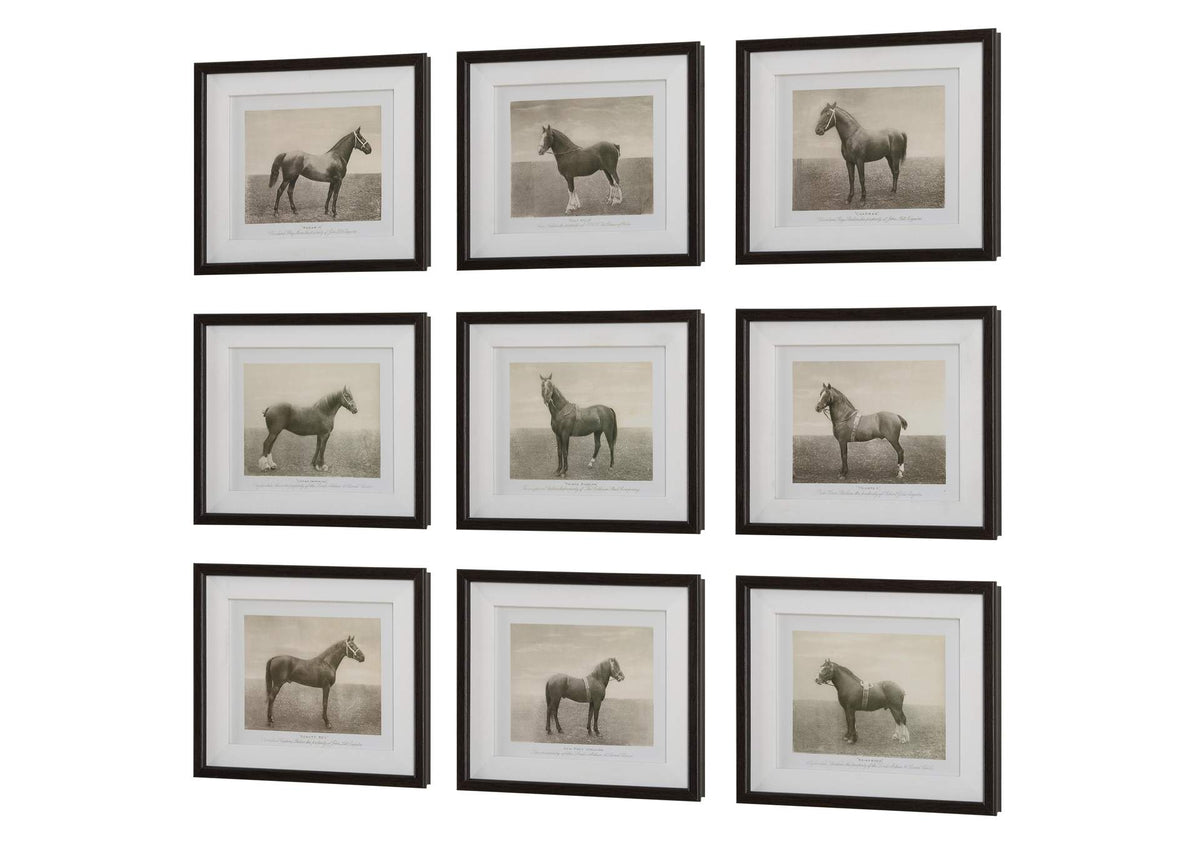 32343 Uttermost Equine Dynasty Framed Prints