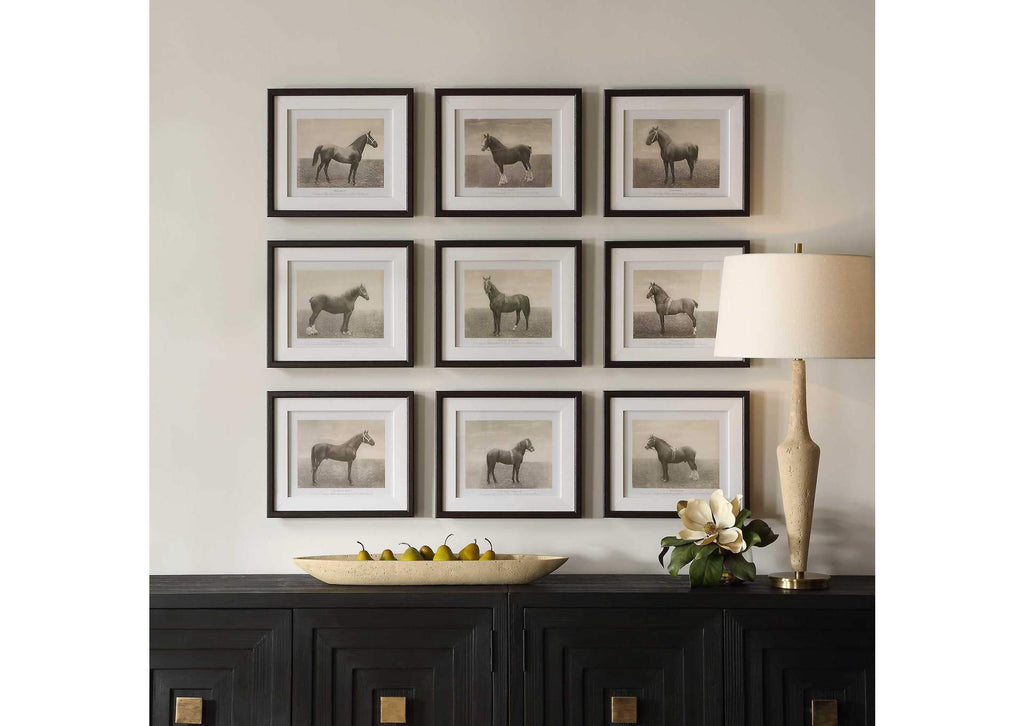 32343 Uttermost Equine Dynasty Framed Prints