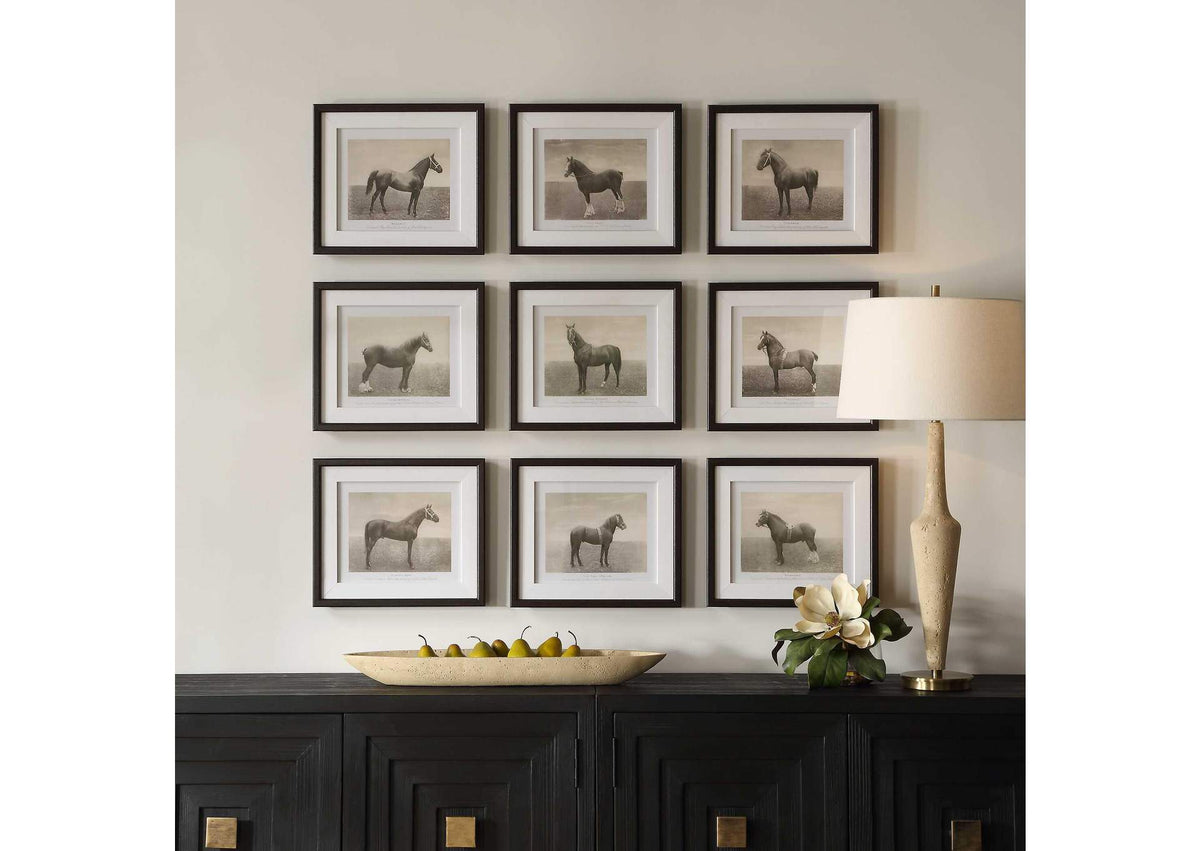 32343 Uttermost Equine Dynasty Framed Prints