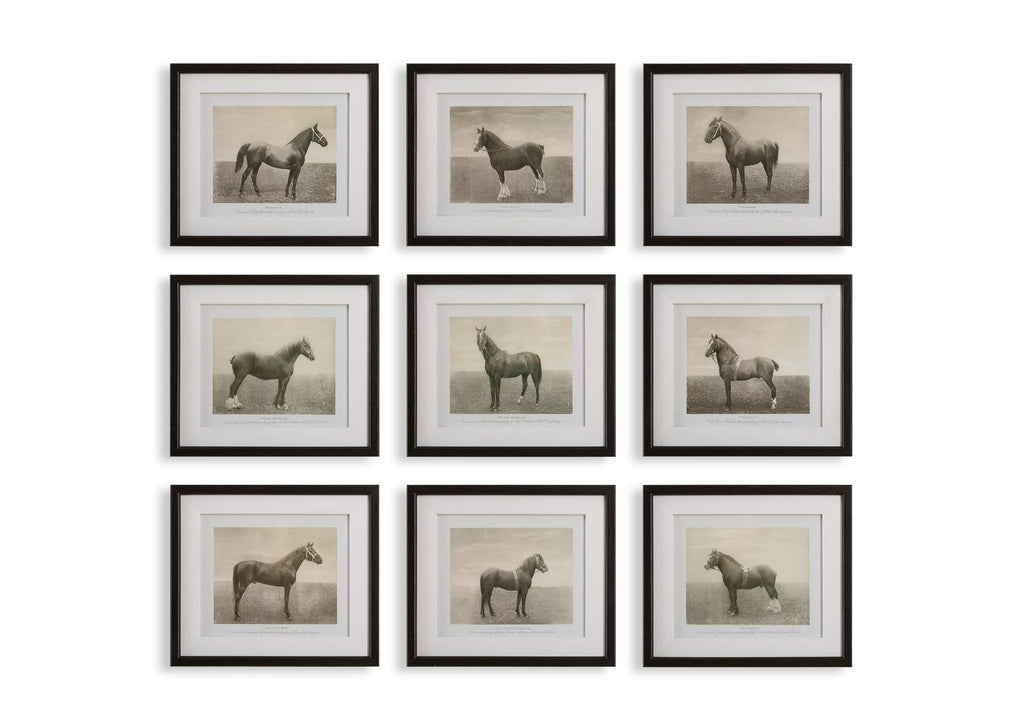 32343 Uttermost Equine Dynasty Framed Prints