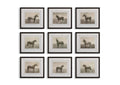 32343 Uttermost Equine Dynasty Framed Prints