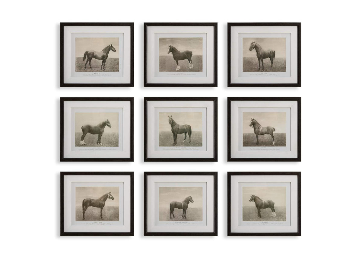 32343 Uttermost Equine Dynasty Framed Prints