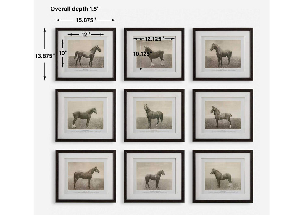 32343 Uttermost Equine Dynasty Framed Prints