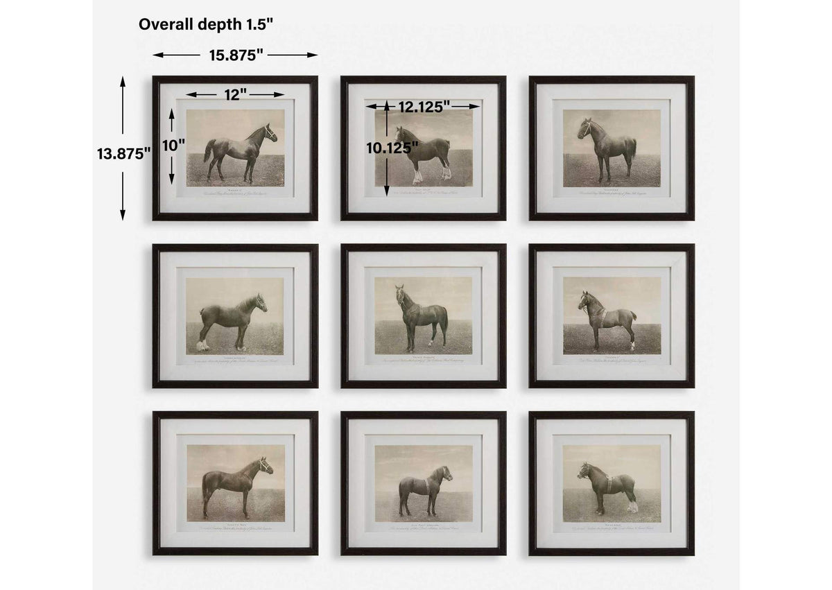 32343 Uttermost Equine Dynasty Framed Prints
