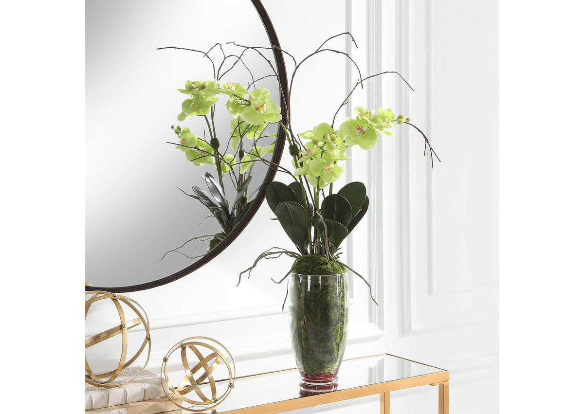 60199 Uttermost Valdive Orchid