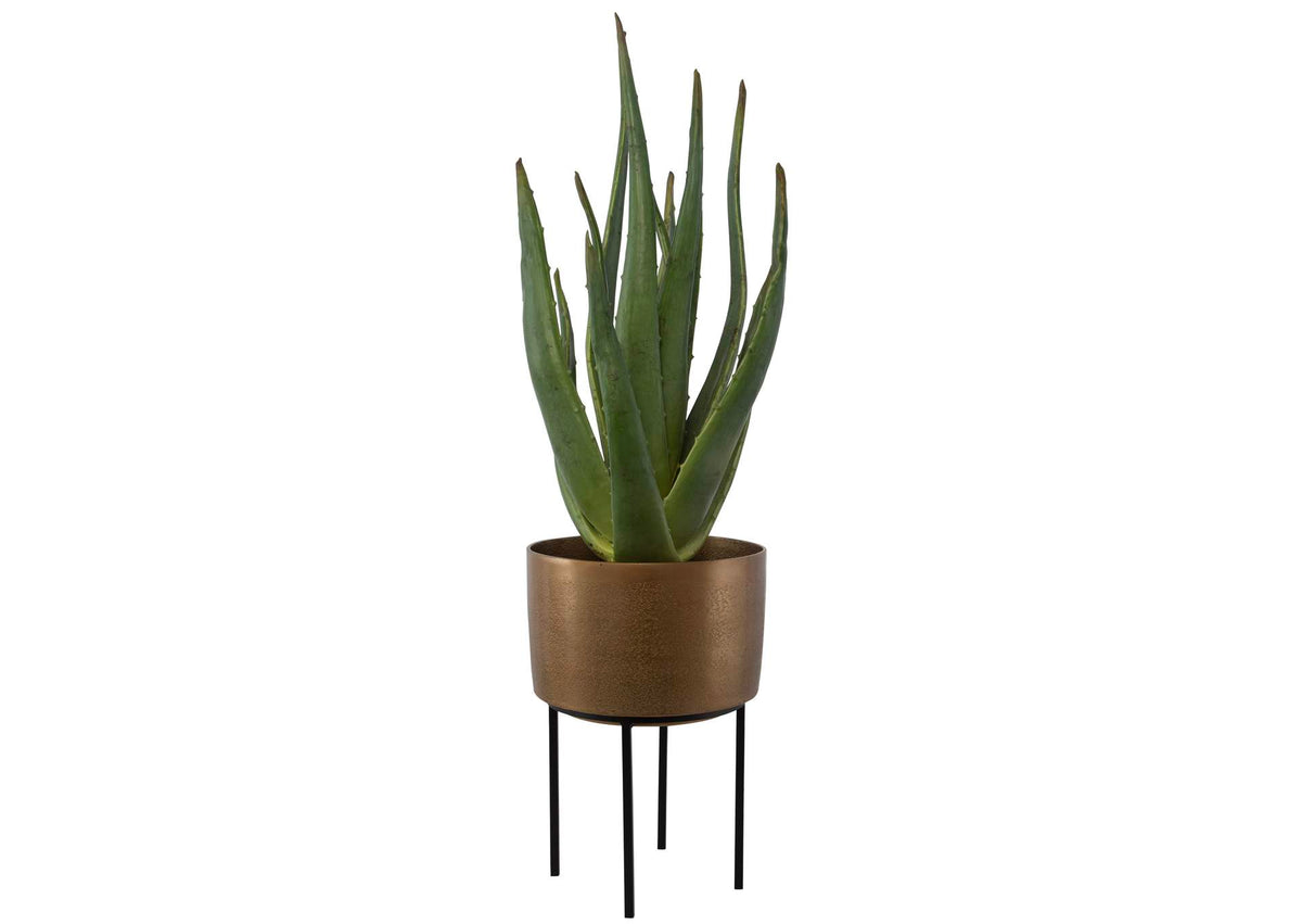 60217 Uttermost Arabia Aloe Planter