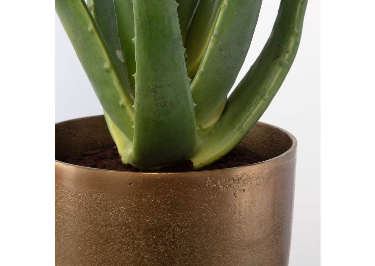 60217 Uttermost Arabia Aloe Planter