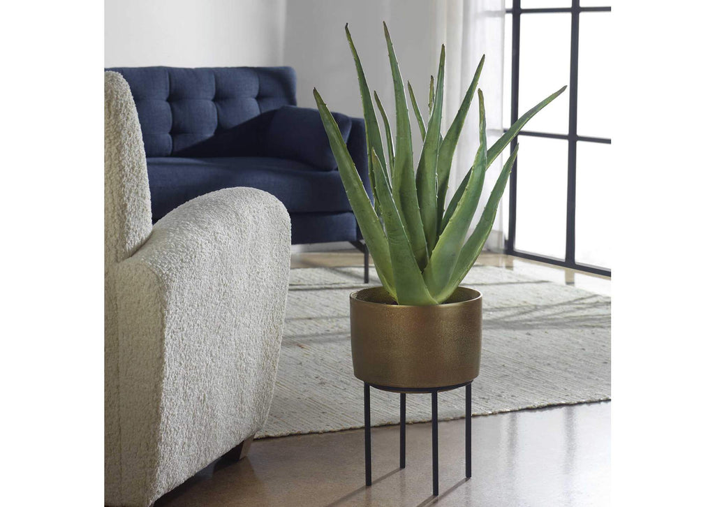 60217 Uttermost Arabia Aloe Planter