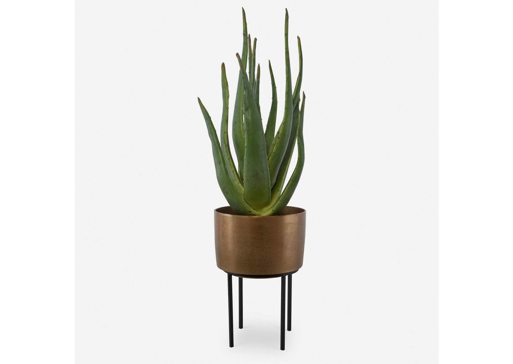 60217 Uttermost Arabia Aloe Planter