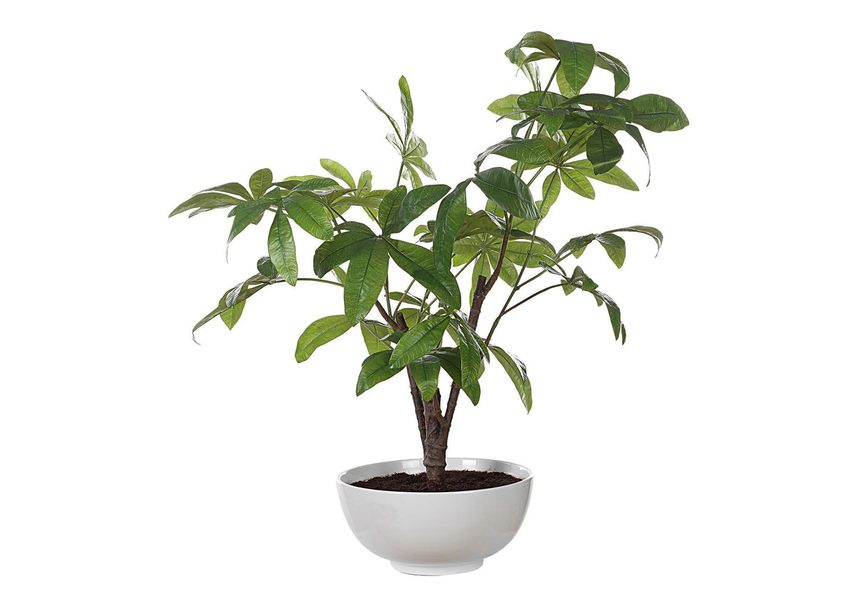 60225 Uttermost Pachira Money Tree