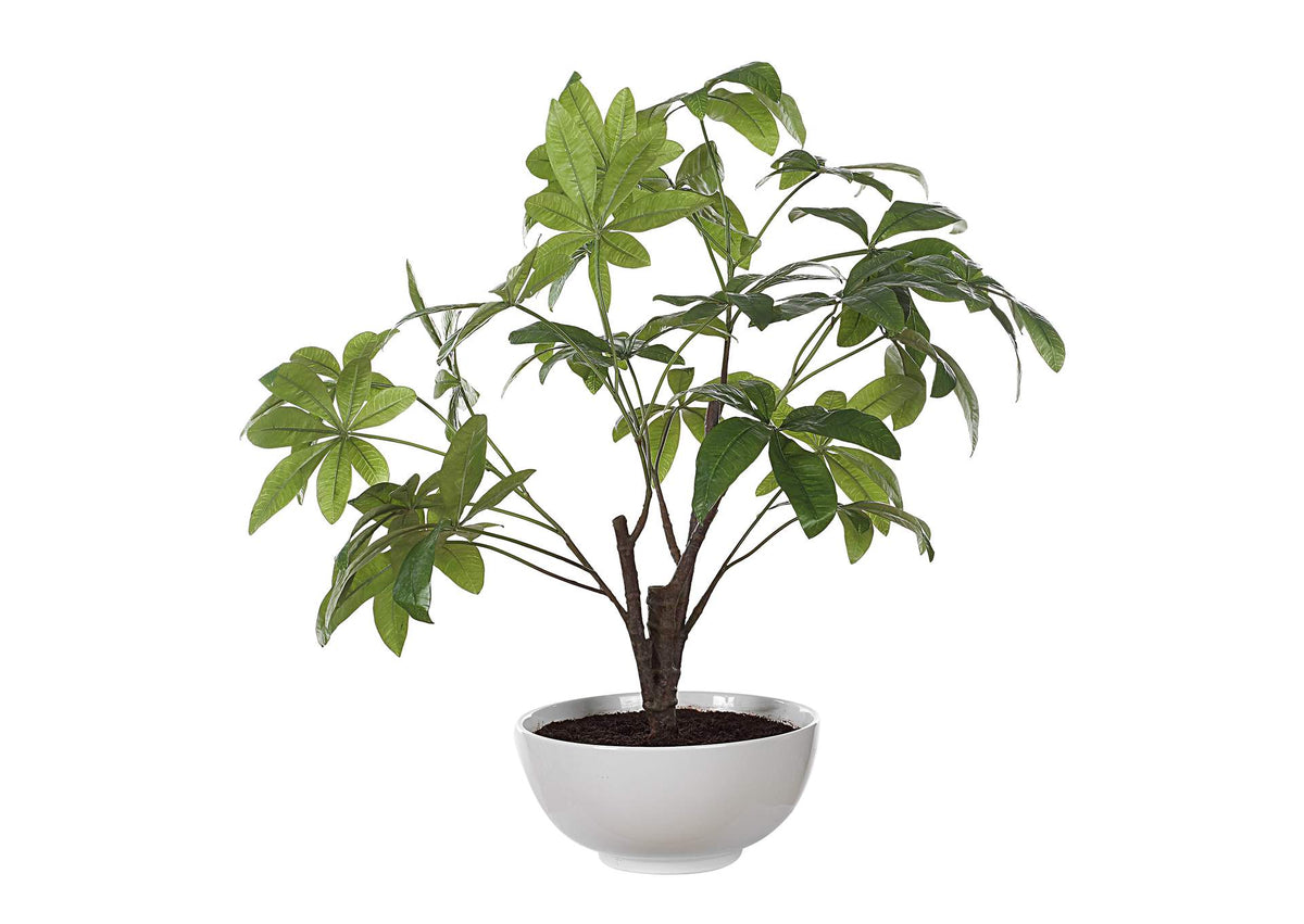 60225 Uttermost Pachira Money Tree