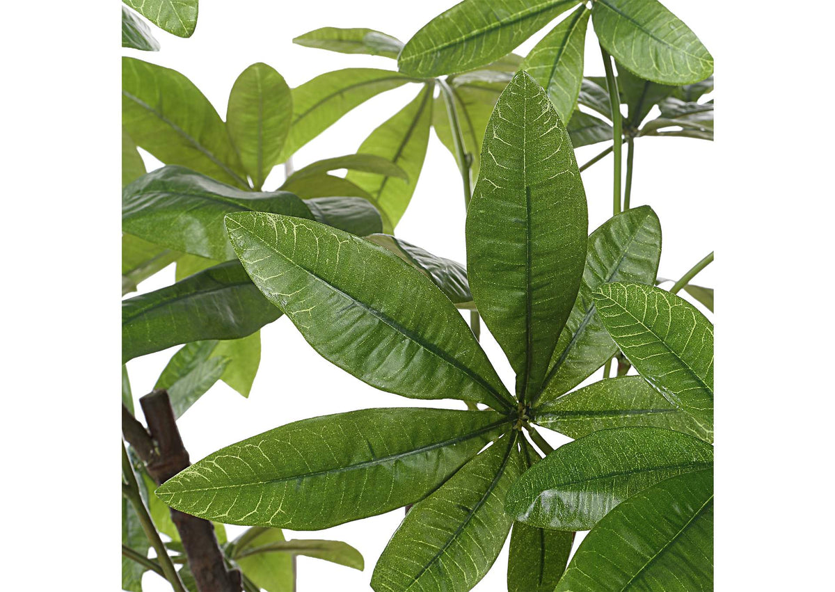 60225 Uttermost Pachira Money Tree