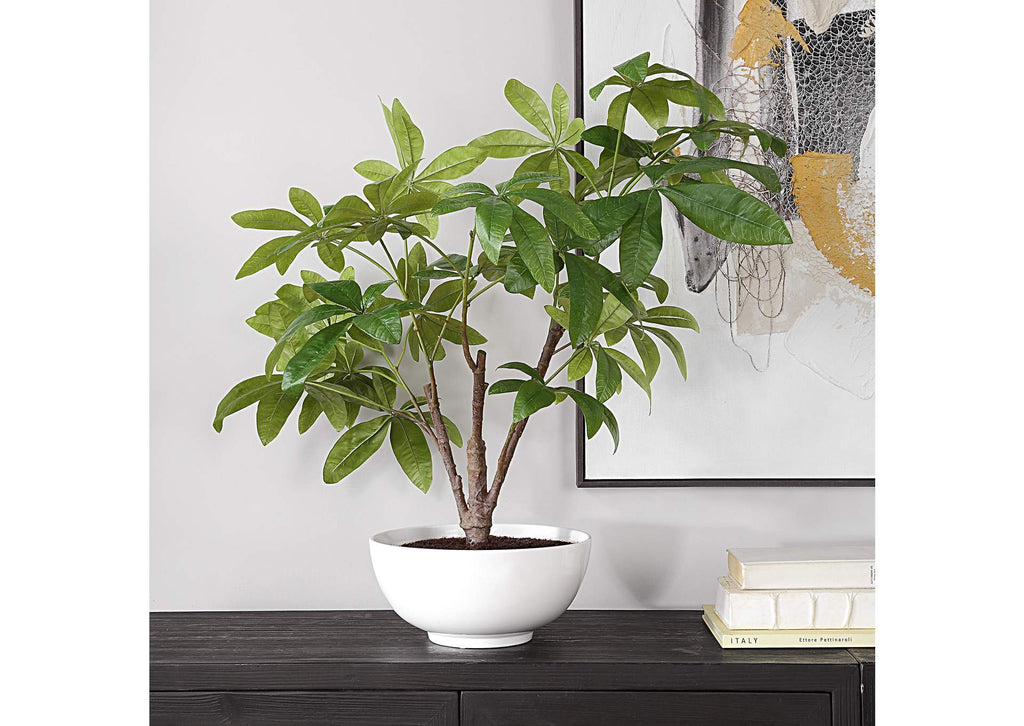 60225 Uttermost Pachira Money Tree