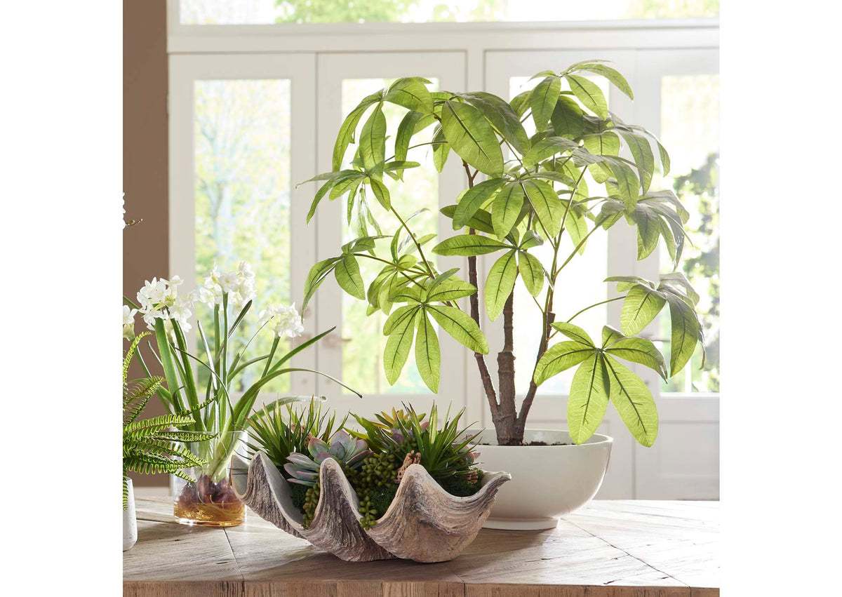60225 Uttermost Pachira Money Tree