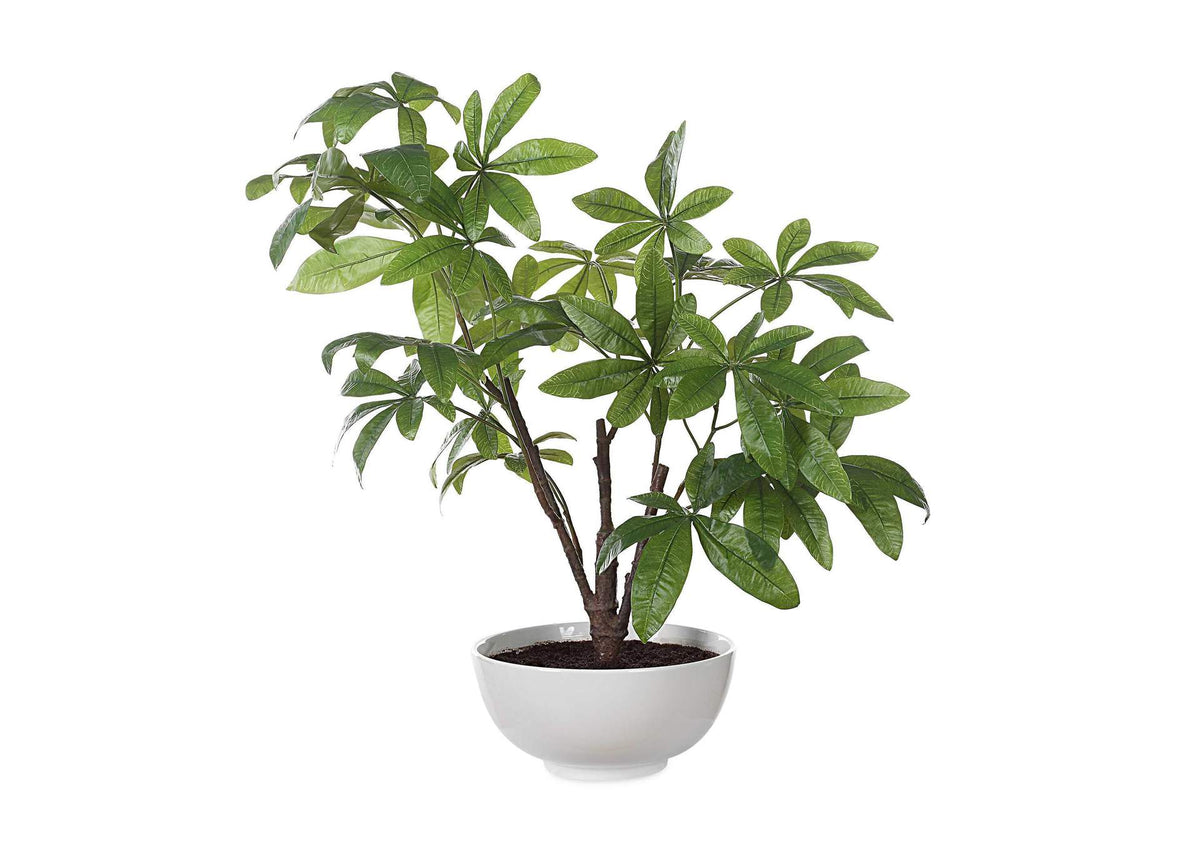 60225 Uttermost Pachira Money Tree
