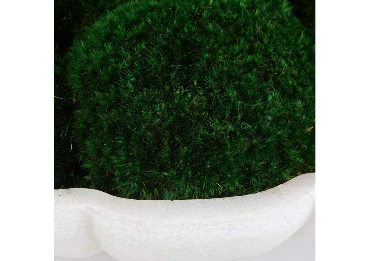60232 Uttermost Awaken Moss Centerpiece