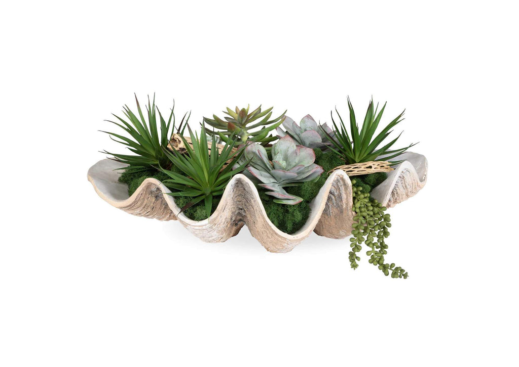 60233 Uttermost Seaside Breeze Succulents