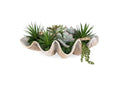 60233 Uttermost Seaside Breeze Succulents