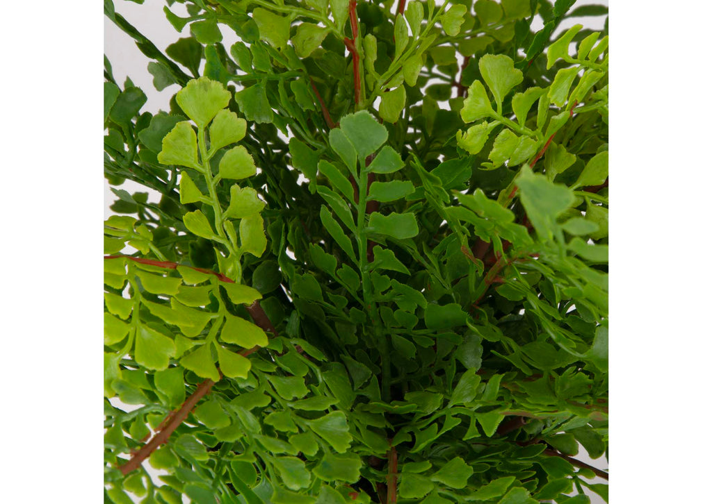 60237 Uttermost Maidenhair Fern In Oxidized Container