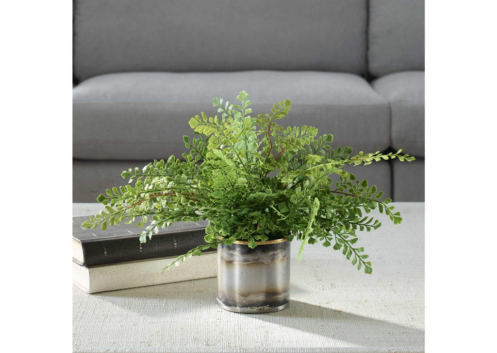 60237 Uttermost Maidenhair Fern In Oxidized Container