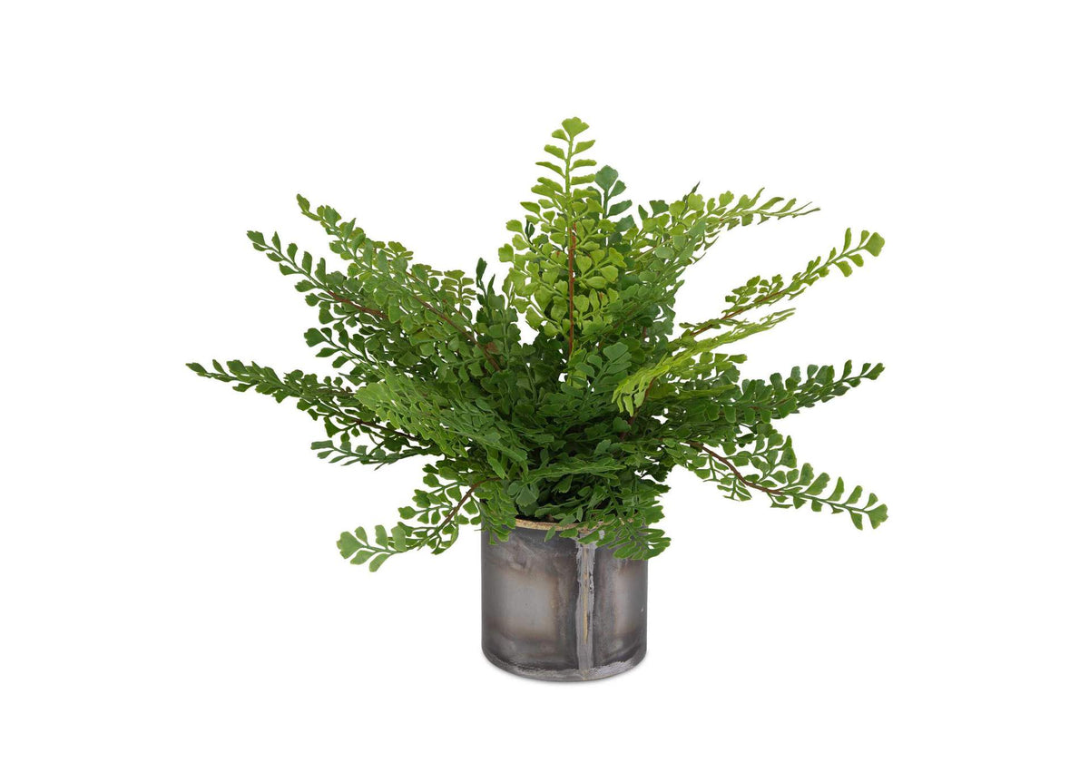 60237 Uttermost Maidenhair Fern In Oxidized Container