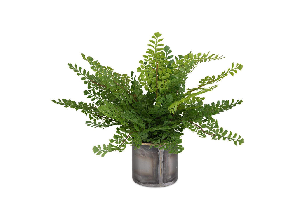 60237 Uttermost Maidenhair Fern In Oxidized Container