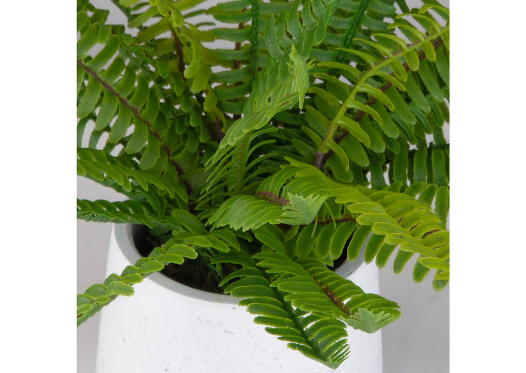 60238 Uttermost Boston Fern In White Ceramic Pot