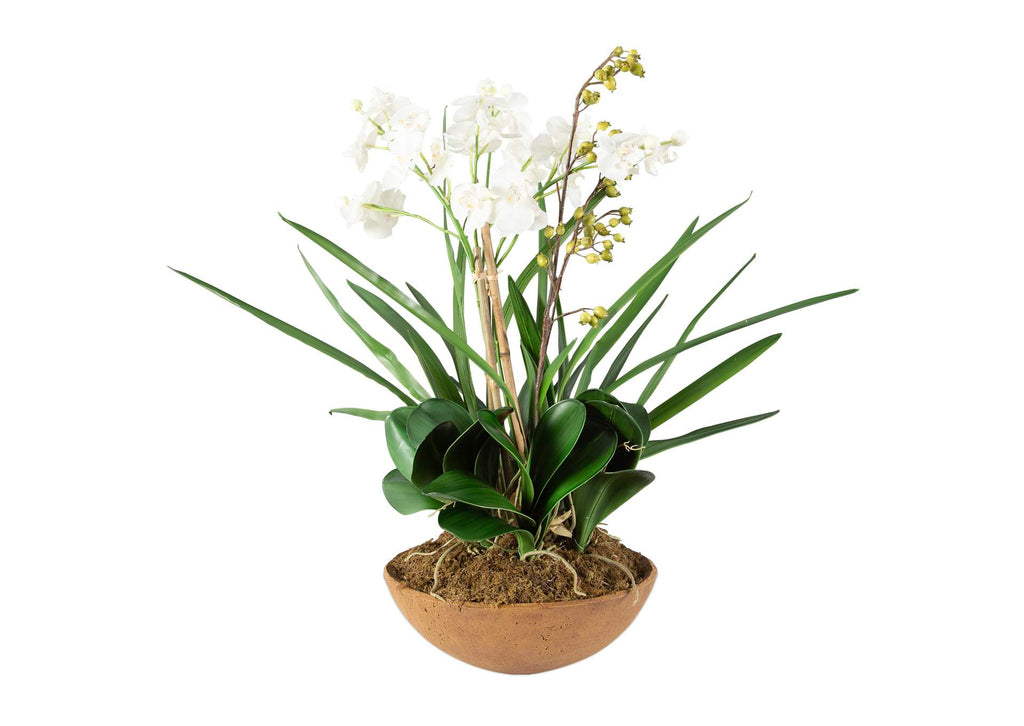 60039 Uttermost Moth Orchid Planter