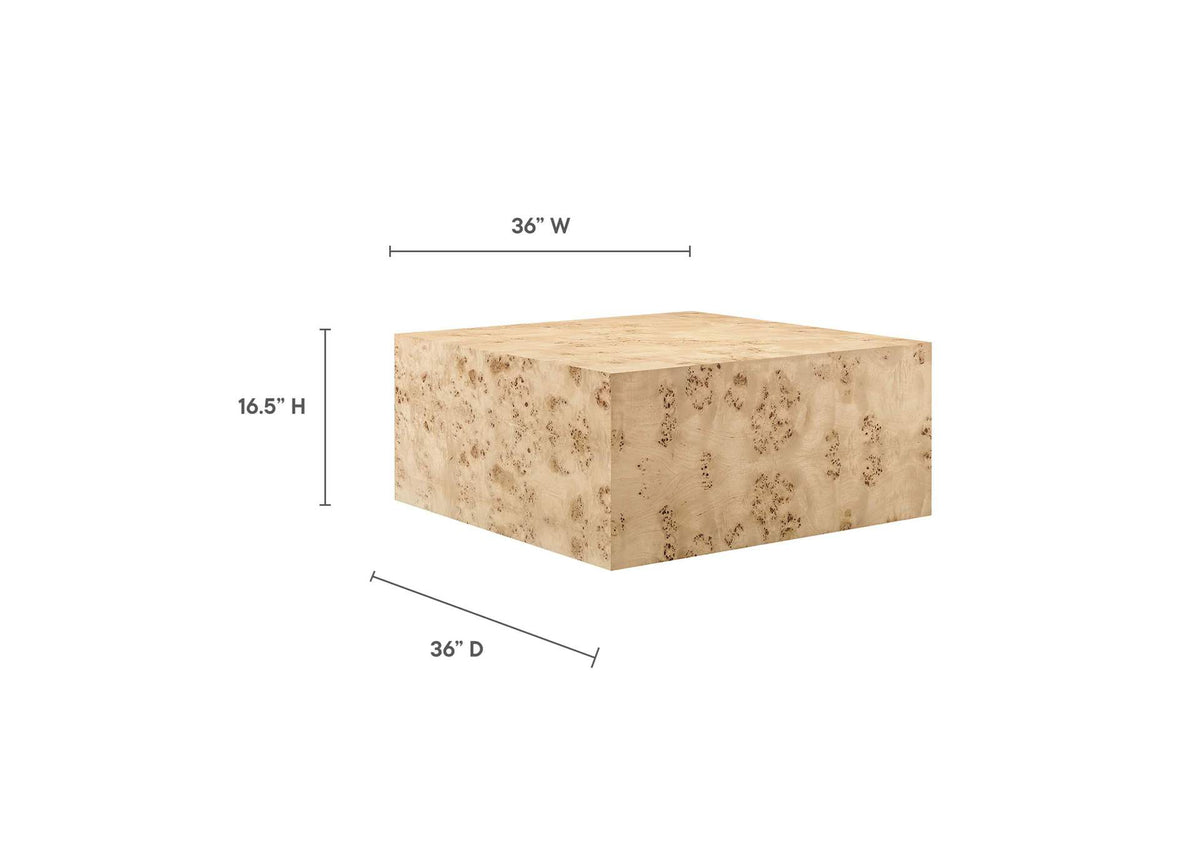 EEI-6272-NAB Cosmos 36" Square Burl Wood Coffee Table By Modway