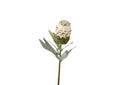 FL2393 White Protea Flower