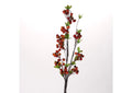 FL2401 Orange Berries Spray